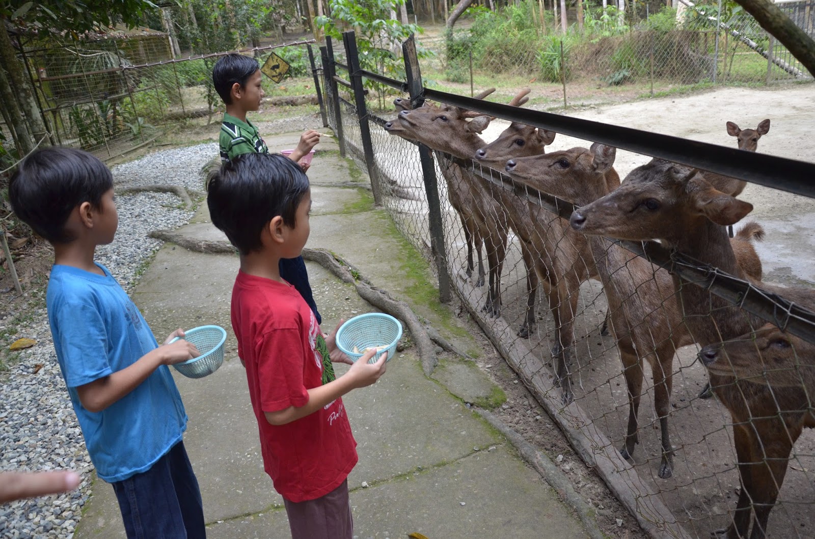 Tempat Menarik Di Lanchang – NADI Felda Bukit Damar